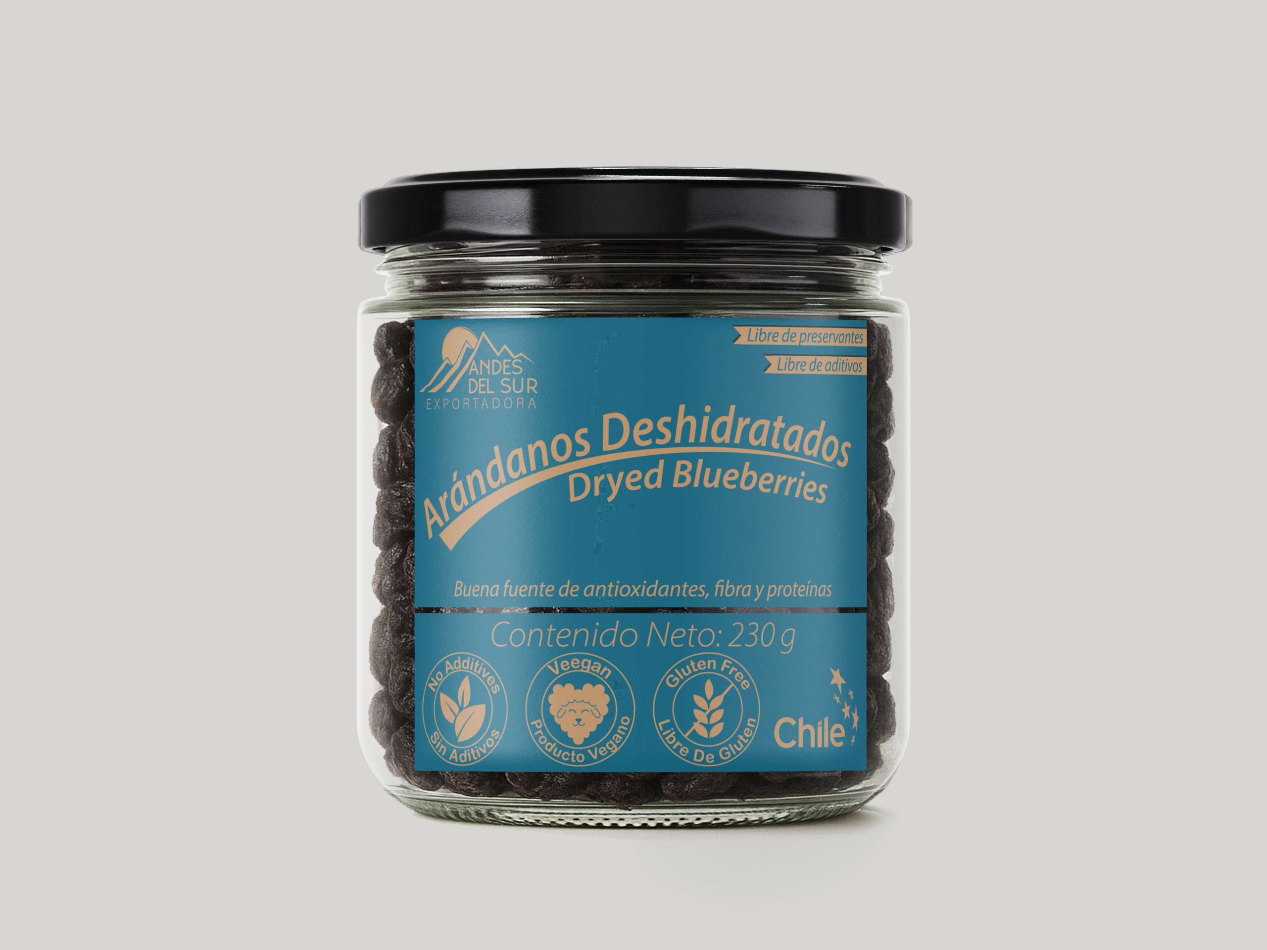 Arándanos Deshidratados Premium Andes del Sur (230 g)